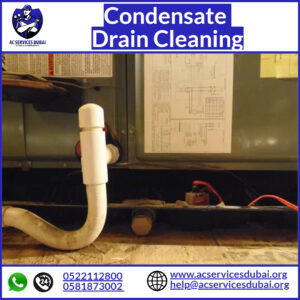 Condensate Drain Cleaning