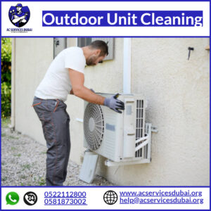 Outdoor Unit Cleaning